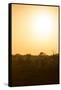 Awesome South Africa Collection - Savanna at Sunrise I-Philippe Hugonnard-Framed Stretched Canvas