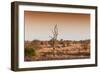 Awesome South Africa Collection - Savanna at Sunrise II-Philippe Hugonnard-Framed Photographic Print