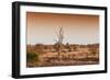 Awesome South Africa Collection - Savanna at Sunrise II-Philippe Hugonnard-Framed Photographic Print