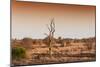 Awesome South Africa Collection - Savanna at Sunrise II-Philippe Hugonnard-Mounted Photographic Print