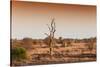 Awesome South Africa Collection - Savanna at Sunrise II-Philippe Hugonnard-Stretched Canvas