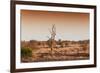 Awesome South Africa Collection - Savanna at Sunrise II-Philippe Hugonnard-Framed Photographic Print