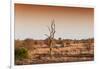 Awesome South Africa Collection - Savanna at Sunrise II-Philippe Hugonnard-Framed Photographic Print