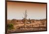 Awesome South Africa Collection - Savanna at Sunrise II-Philippe Hugonnard-Framed Photographic Print