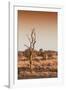 Awesome South Africa Collection - Savanna at Sunrise III-Philippe Hugonnard-Framed Photographic Print