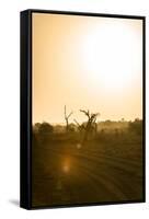 Awesome South Africa Collection - Savanna at Sunrise IV-Philippe Hugonnard-Framed Stretched Canvas