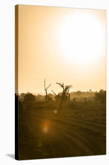 Awesome South Africa Collection - Savanna at Sunrise IV-Philippe Hugonnard-Stretched Canvas