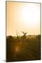 Awesome South Africa Collection - Savanna at Sunrise IV-Philippe Hugonnard-Mounted Photographic Print