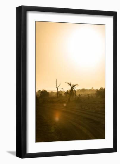 Awesome South Africa Collection - Savanna at Sunrise IV-Philippe Hugonnard-Framed Premium Photographic Print