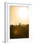 Awesome South Africa Collection - Savanna at Sunrise IV-Philippe Hugonnard-Framed Premium Photographic Print