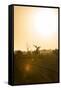 Awesome South Africa Collection - Savanna at Sunrise IV-Philippe Hugonnard-Framed Stretched Canvas