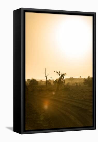 Awesome South Africa Collection - Savanna at Sunrise IV-Philippe Hugonnard-Framed Stretched Canvas