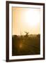 Awesome South Africa Collection - Savanna at Sunrise IV-Philippe Hugonnard-Framed Photographic Print