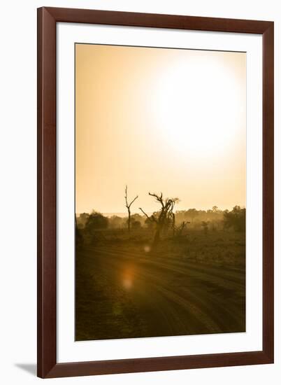 Awesome South Africa Collection - Savanna at Sunrise IV-Philippe Hugonnard-Framed Photographic Print