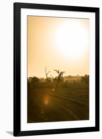 Awesome South Africa Collection - Savanna at Sunrise IV-Philippe Hugonnard-Framed Photographic Print