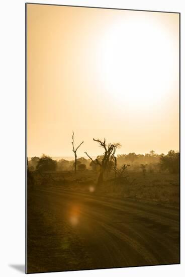 Awesome South Africa Collection - Savanna at Sunrise IV-Philippe Hugonnard-Mounted Photographic Print