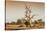 Awesome South Africa Collection - Savanna at Sunrise V-Philippe Hugonnard-Stretched Canvas