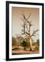 Awesome South Africa Collection - Savanna at Sunrise VI-Philippe Hugonnard-Framed Photographic Print