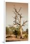 Awesome South Africa Collection - Savanna at Sunrise VI-Philippe Hugonnard-Framed Photographic Print