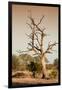 Awesome South Africa Collection - Savanna at Sunrise VI-Philippe Hugonnard-Framed Photographic Print