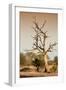 Awesome South Africa Collection - Savanna at Sunrise VI-Philippe Hugonnard-Framed Photographic Print