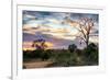 Awesome South Africa Collection - Savanna Landscape at Sunrise-Philippe Hugonnard-Framed Photographic Print