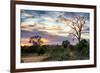 Awesome South Africa Collection - Savanna Landscape at Sunrise-Philippe Hugonnard-Framed Photographic Print