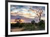 Awesome South Africa Collection - Savanna Landscape at Sunrise-Philippe Hugonnard-Framed Photographic Print