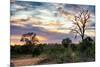 Awesome South Africa Collection - Savanna Landscape at Sunrise-Philippe Hugonnard-Mounted Photographic Print