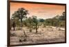 Awesome South Africa Collection - Savanna Landscape at Sunrise-Philippe Hugonnard-Framed Photographic Print