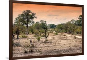 Awesome South Africa Collection - Savanna Landscape at Sunrise-Philippe Hugonnard-Framed Photographic Print