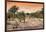 Awesome South Africa Collection - Savanna Landscape at Sunrise-Philippe Hugonnard-Framed Photographic Print