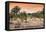 Awesome South Africa Collection - Savanna Landscape at Sunrise-Philippe Hugonnard-Framed Stretched Canvas