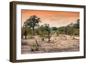 Awesome South Africa Collection - Savanna Landscape at Sunrise-Philippe Hugonnard-Framed Photographic Print