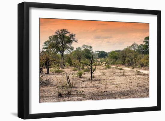 Awesome South Africa Collection - Savanna Landscape at Sunrise-Philippe Hugonnard-Framed Photographic Print