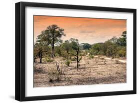 Awesome South Africa Collection - Savanna Landscape at Sunrise-Philippe Hugonnard-Framed Photographic Print