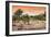 Awesome South Africa Collection - Savanna Landscape at Sunrise-Philippe Hugonnard-Framed Photographic Print