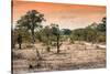 Awesome South Africa Collection - Savanna Landscape at Sunrise-Philippe Hugonnard-Stretched Canvas