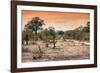 Awesome South Africa Collection - Savanna Landscape at Sunrise-Philippe Hugonnard-Framed Photographic Print