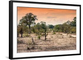 Awesome South Africa Collection - Savanna Landscape at Sunrise-Philippe Hugonnard-Framed Photographic Print