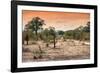 Awesome South Africa Collection - Savanna Landscape at Sunrise-Philippe Hugonnard-Framed Photographic Print