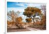 Awesome South Africa Collection - Savanna Landscape I-Philippe Hugonnard-Framed Photographic Print