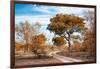 Awesome South Africa Collection - Savanna Landscape I-Philippe Hugonnard-Framed Photographic Print