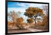 Awesome South Africa Collection - Savanna Landscape I-Philippe Hugonnard-Framed Photographic Print