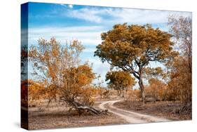 Awesome South Africa Collection - Savanna Landscape I-Philippe Hugonnard-Stretched Canvas