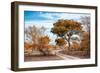 Awesome South Africa Collection - Savanna Landscape I-Philippe Hugonnard-Framed Photographic Print