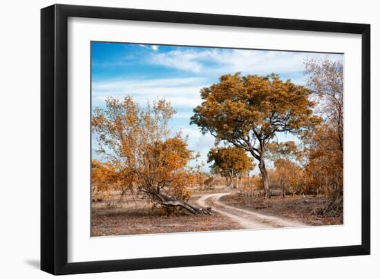 Awesome South Africa Collection - Savanna Landscape I-Philippe Hugonnard-Framed Photographic Print