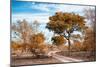 Awesome South Africa Collection - Savanna Landscape I-Philippe Hugonnard-Mounted Photographic Print