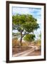 Awesome South Africa Collection - Savanna Landscape II-Philippe Hugonnard-Framed Photographic Print