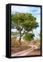 Awesome South Africa Collection - Savanna Landscape II-Philippe Hugonnard-Framed Stretched Canvas